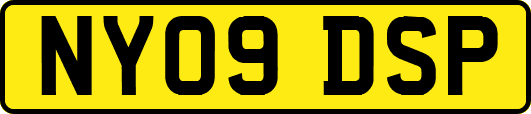 NY09DSP