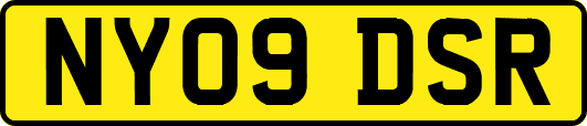 NY09DSR