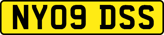 NY09DSS