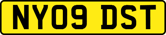 NY09DST