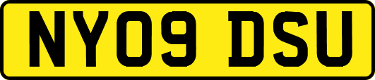 NY09DSU