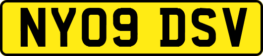 NY09DSV
