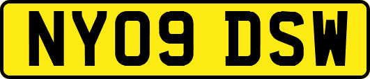 NY09DSW