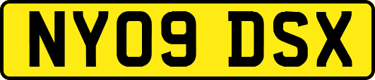 NY09DSX
