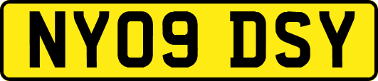 NY09DSY