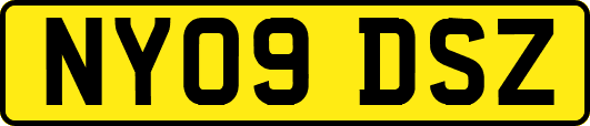 NY09DSZ