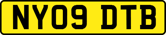 NY09DTB