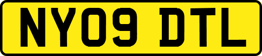 NY09DTL