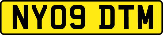 NY09DTM