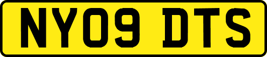 NY09DTS