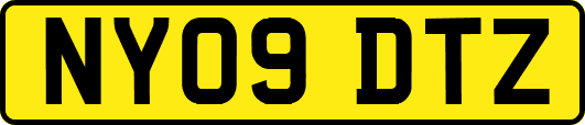 NY09DTZ