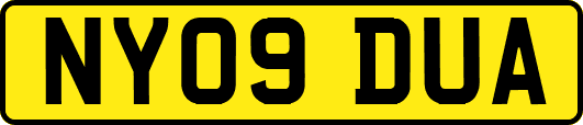 NY09DUA