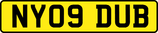 NY09DUB