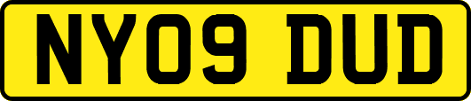 NY09DUD
