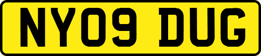 NY09DUG