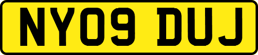 NY09DUJ