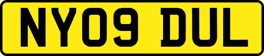NY09DUL