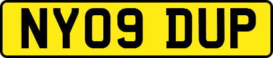 NY09DUP
