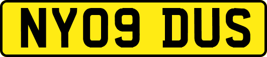 NY09DUS