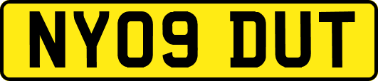 NY09DUT