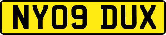 NY09DUX