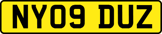 NY09DUZ