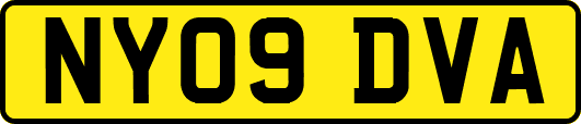 NY09DVA