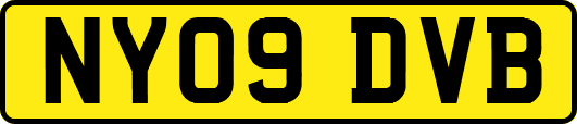 NY09DVB
