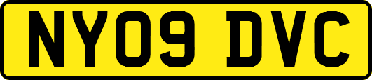 NY09DVC
