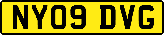NY09DVG