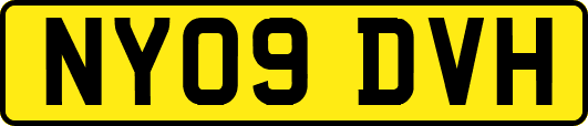 NY09DVH