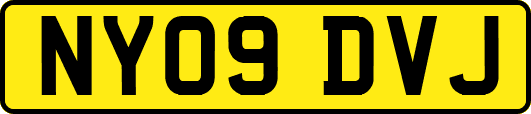 NY09DVJ