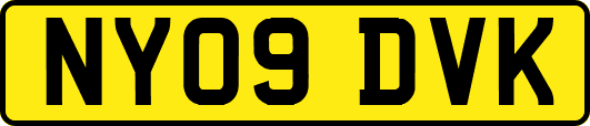 NY09DVK