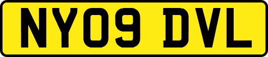 NY09DVL