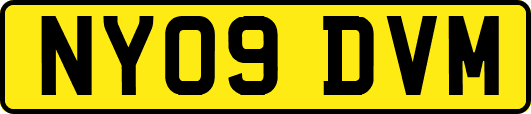 NY09DVM