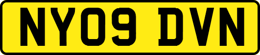 NY09DVN