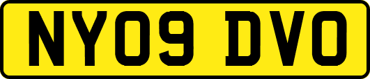 NY09DVO