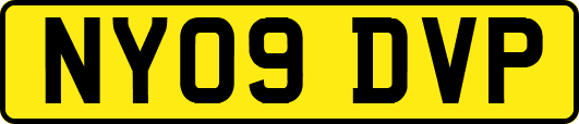 NY09DVP