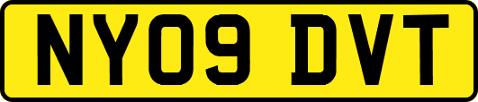 NY09DVT