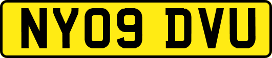 NY09DVU