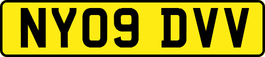 NY09DVV