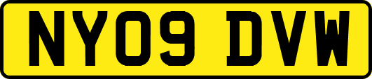 NY09DVW
