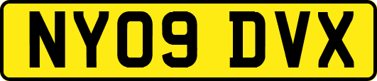 NY09DVX