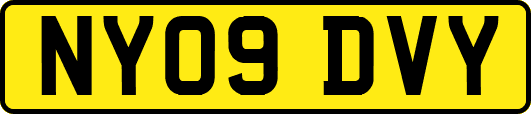 NY09DVY