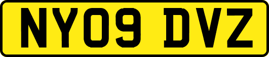 NY09DVZ