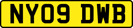 NY09DWB