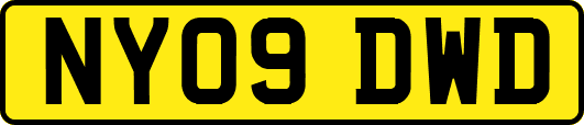 NY09DWD