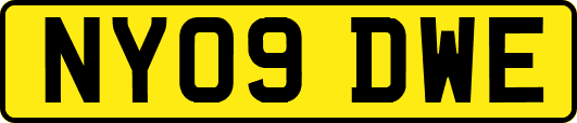 NY09DWE