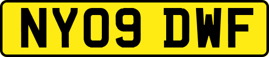 NY09DWF