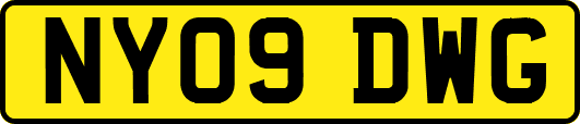 NY09DWG